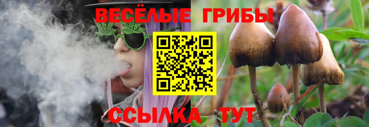 Орск  Псилоцибиновые грибы мухоморы  Псилоцибиновые грибы MAGIC MUSHROOMS  Вход с VPN 
